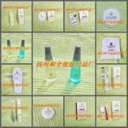 皇廷假日酒店4星級(jí)客房一次性用品